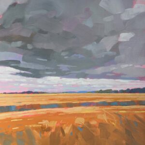 Field near Danby Wiske